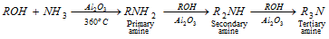 1629_chemical properties of monohydric alcohol11.png